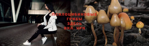 скорость Елизово