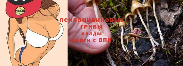 стафф Нижневартовск