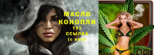 ALPHA PVP Ельня